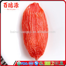 Goji berries propriedades goji bagas cruas orgânicas lycium barbarum coltivazione